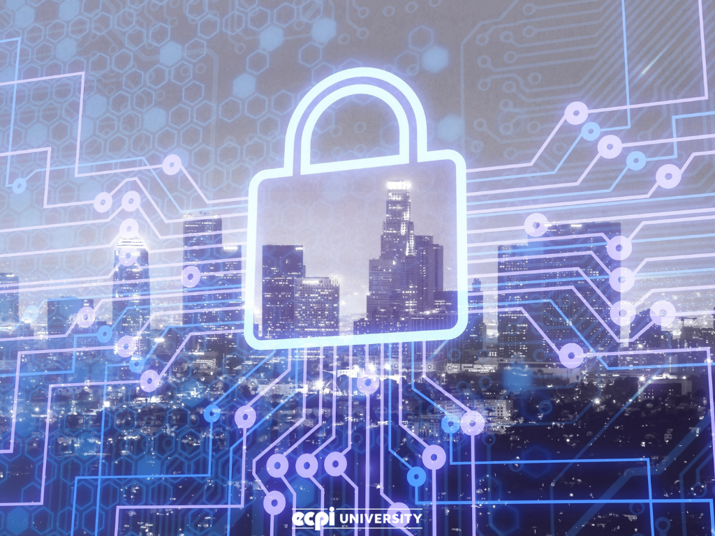 How Does Network Security Work Is This Something I Could Learn 